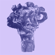 a photograph of a bronze cubist sculpture depicting a distorted knobby head, printed with purple ink on purple paper